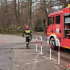 zdjęcie nr 17
