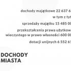 prezentacja _ budzet-03