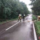 zdjęcie nr 41