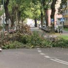 zdjęcie nr 9