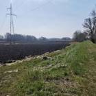zdjęcie nr 8