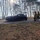 Fotka nr 2 z 12