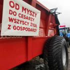 zdjęcie nr 19