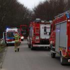 Fotka nr 3 z 11