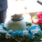 zdjęcie nr 32