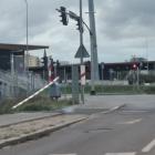 zdjęcie nr 11