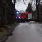 zdjęcie nr 7