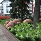 zielen (4)