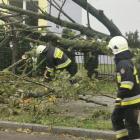 zdjęcie nr 18