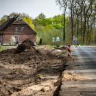 zdjęcie nr 13