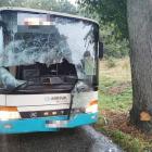 autobus1
