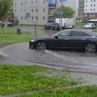 zdjęcie nr 13