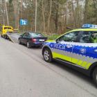 Fotka nr 2 z 4