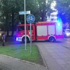 zdjęcie nr 7
