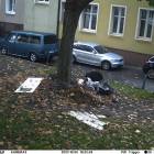 Fotka nr 4 z 7