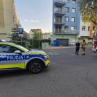 Fotka nr 5 z 12