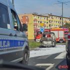 zdjęcie nr 17