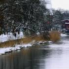 zdjęcie nr 53