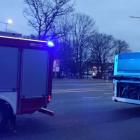 Fotka nr 4 z 5