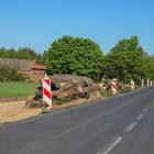 zdjęcie nr 28