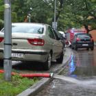 zdjęcie nr 7