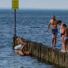 zdjęcie nr 13
