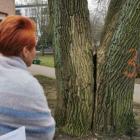 IMG_20200120_090318