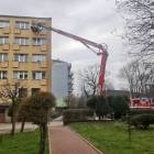 Fotka nr 5 z 6