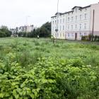 zdjęcie nr 40