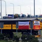 zdjęcie nr 11