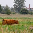 zdjęcie nr 10