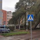 zdjęcie nr 7