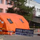 zdjęcie nr 35