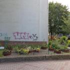 zdjęcie nr 30