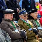 Fotka nr 4 z 35