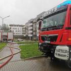 Fotka nr 4 z 20