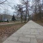 zdjęcie nr 13