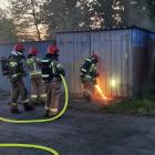 zdjęcie nr 11