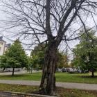 Fotka nr 5 z 9