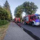 Fotka nr 5 z 11