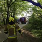 zdjęcie nr 7