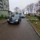 Fotka nr 2 z 3