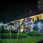 zdjęcie nr 8