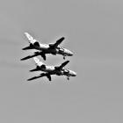IMG_9857