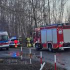 zdjęcie nr 7