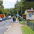 zdjęcie nr 15