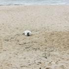 IMG_20200322_112436