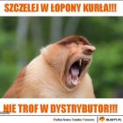 zdjęcie nr 15