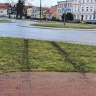 zdjęcie nr 15