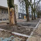 zdjęcie nr 12
